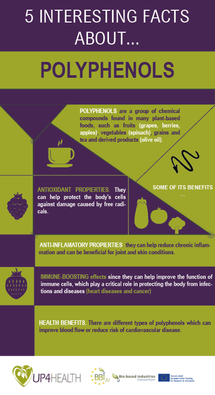 Polyphenols: Antioxidant Compounds in Plant-Based Foods