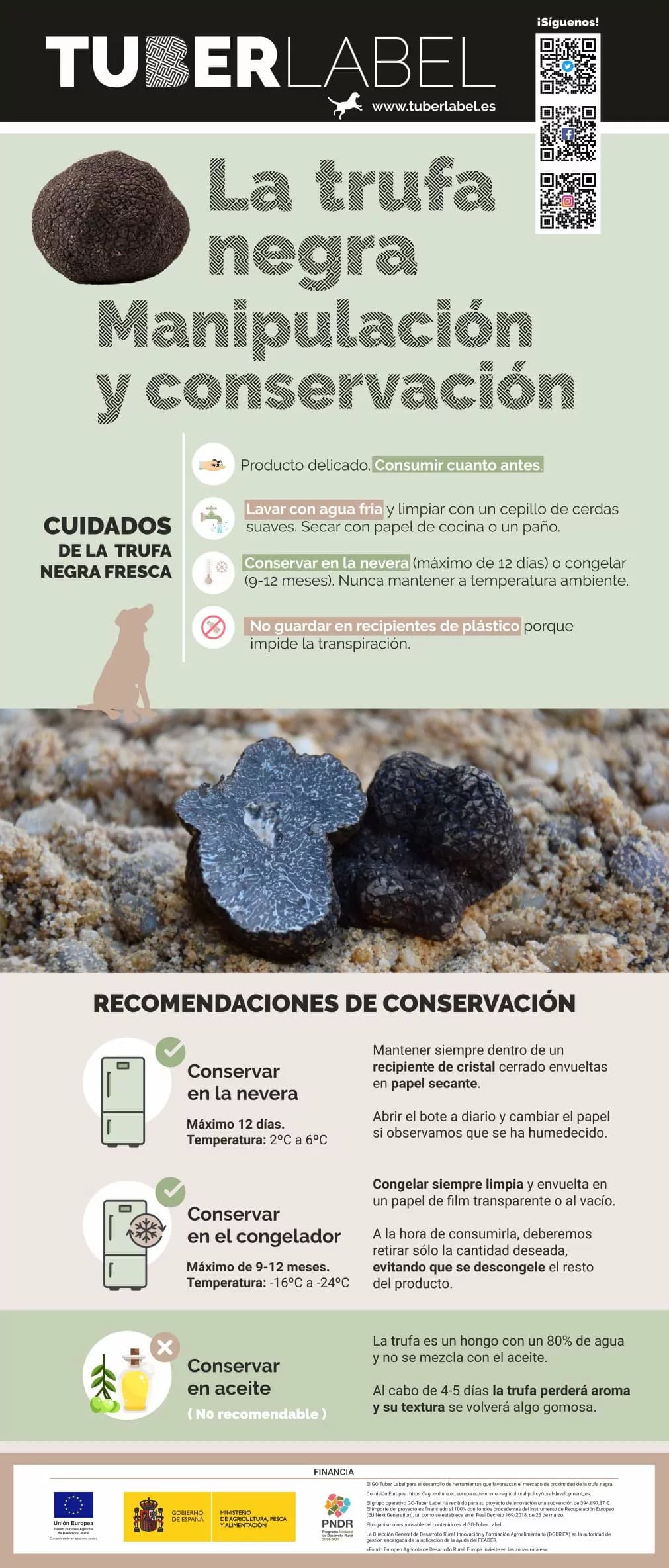 Panneau d'information sur la truffe noire : manipulation et conservation