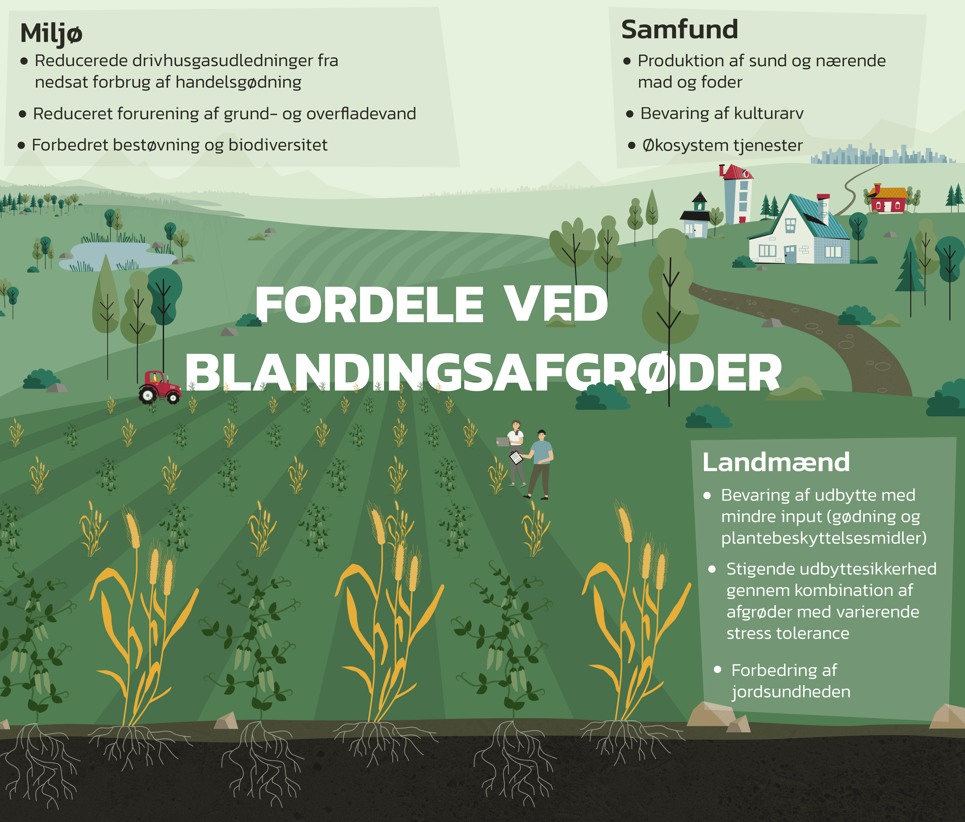 Fordelene ved blandingsdyrkning: Landmænd, samfundet, miljøet
